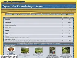 Sites similar to galerie-jadran.net