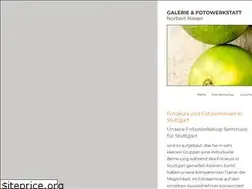 Sites similar to galerie-nieser.de