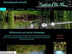 Sites similar to galerie-otto-b.de