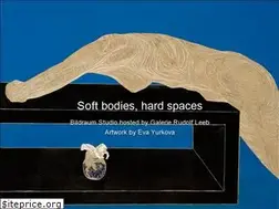 Sites similar to galerierudolfleeb.at
