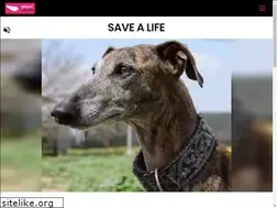 Sites similar to galgosenfamilia.org