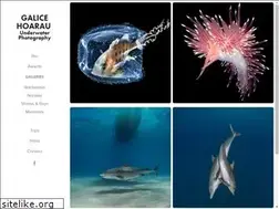 Sites similar to galice.no