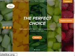 Sites similar to galina-eg.com