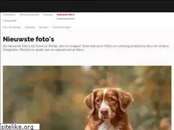 Sites similar to gallery.zoom.nl