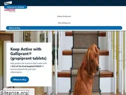 Sites similar to galliprantfordogs.com