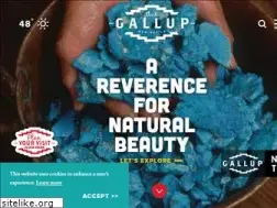 Sites similar to galluprealtrue.com