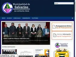Sites similar to galvarinochile.cl