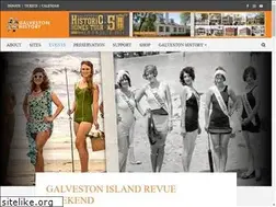 Sites similar to galvestonislandbeachrevue.com