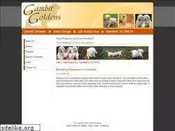 Sites similar to gambitgoldens.net