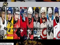 Sites similar to gamblershockey.com