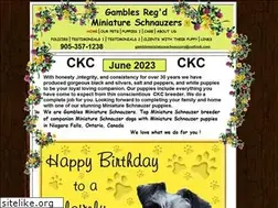 Sites similar to gamblesminiatureschnauzers.com