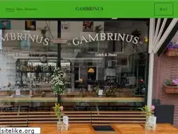 Sites similar to gambrinus.nl