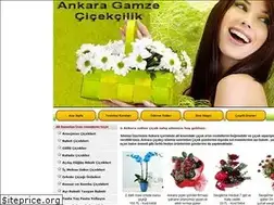 Sites similar to gamzecicek.com