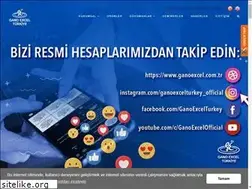 Sites similar to ganoexcel.com.tr