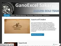 Sites similar to ganoexcelsakarya.wordpress.com