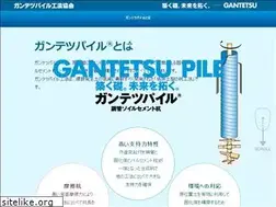 Sites similar to gantetsu-pile.info