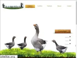 Sites similar to ganzenfanfare.nl