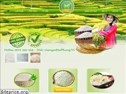 Sites similar to gaongonmaiphuong.vn