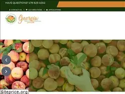 Sites similar to gapeachfestival.com