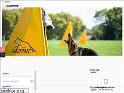 Sites similar to gappay.com.tr