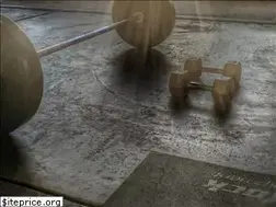 Sites similar to garagegymexperiment.com