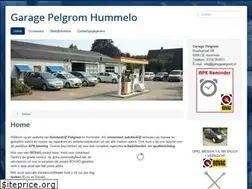 Sites similar to garagepelgrom.nl