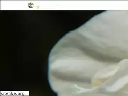 Sites similar to gardeningwithcharlie.com