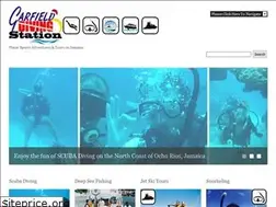 Sites similar to garfielddiving.com
