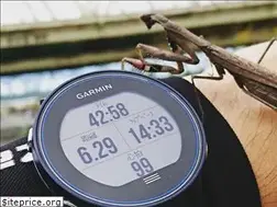 Sites similar to garmin.space