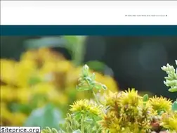 Sites similar to garmundo.de