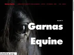 Sites similar to garnasequine.com