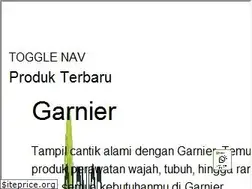 Sites similar to garnier.co.id