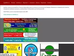 Sites similar to gasfiter.cl
