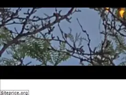 Sites similar to gasolinealleycs.com