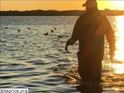 Sites similar to gasparillacharters.com