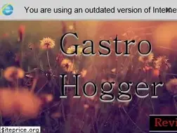 Sites similar to gastrohogger.com