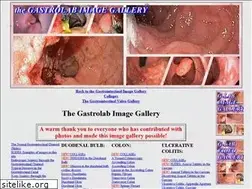 Sites similar to gastrolab.net