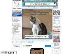 Sites similar to gataweb.com