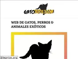 Sites similar to gatoexotico.com