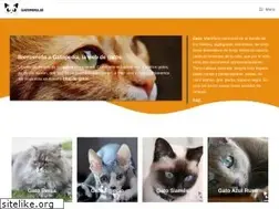 Sites similar to gatopedia.es