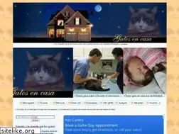 Sites similar to gatosencasa.com