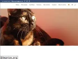 Sites similar to gatosphera.com