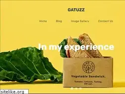 Sites similar to gatuzz.com