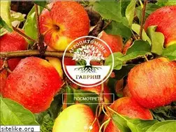 Sites similar to gavrish-agro.ru