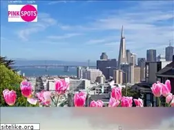 Sites similar to gaypinkspots.com