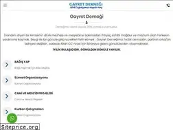 Sites similar to gayretdernegi.com