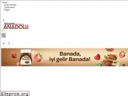 Sites similar to gazeteanadolu.com