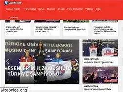 Sites similar to gazeteesenler.com