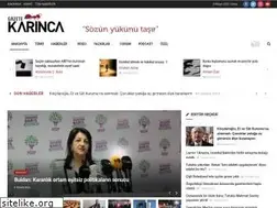 Sites similar to gazetekarinca.com