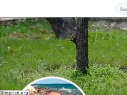 Sites similar to gazetemazete.com